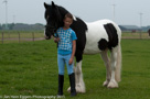 Fotoshoot Paarden